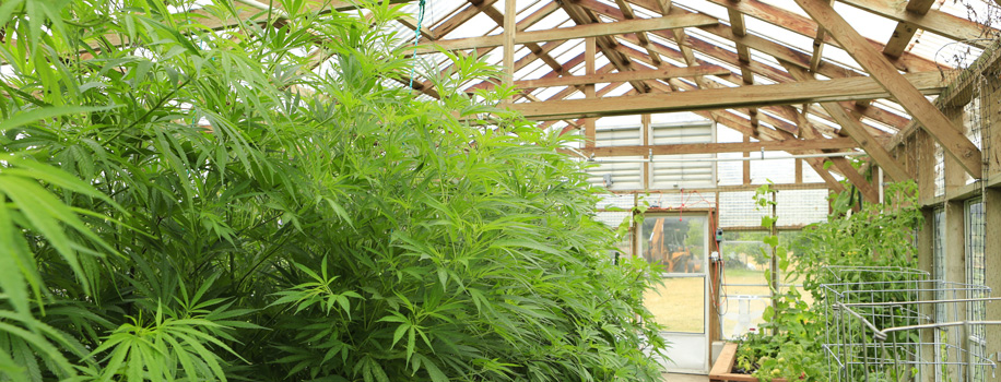 Security Solutions for Apartments in Slatington, PA